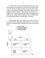 Referāts 'Kokapstrādes uzņēmuma SIA "X" mārketinga plāns', 20.