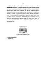 Referāts 'Kokapstrādes uzņēmuma SIA "X" mārketinga plāns', 26.