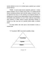 Referāts 'Kokapstrādes uzņēmuma SIA "X" mārketinga plāns', 37.