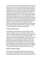 Referāts 'Reformācija Eiropā', 5.