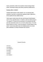 Referāts 'Reformācija Eiropā', 6.