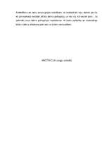Referāts '5 – 6 gadus vecu bērnu „Es” – pašapziņas veidošanos sekmējošie nosacījumi', 2.
