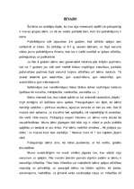 Referāts '5 – 6 gadus vecu bērnu „Es” – pašapziņas veidošanos sekmējošie nosacījumi', 4.