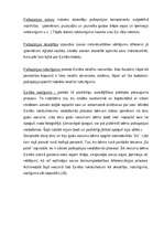 Referāts '5 – 6 gadus vecu bērnu „Es” – pašapziņas veidošanos sekmējošie nosacījumi', 11.