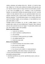 Referāts '5 – 6 gadus vecu bērnu „Es” – pašapziņas veidošanos sekmējošie nosacījumi', 15.