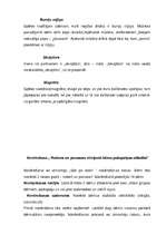 Referāts '5 – 6 gadus vecu bērnu „Es” – pašapziņas veidošanos sekmējošie nosacījumi', 57.