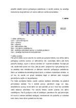 Referāts '5 – 6 gadus vecu bērnu „Es” – pašapziņas veidošanos sekmējošie nosacījumi', 62.