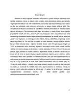 Referāts 'Inflācijas cēloņi un tās veidi. Inflācijas sociāli-ekonomiskās sekas', 17.