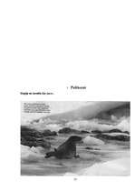 Referāts 'Baltijas jūrā dzīvojošo roņu populāciju ietekmējošie faktori 21.gadsimtā', 22.