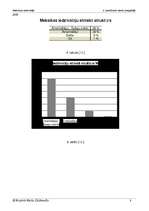 Prakses atskaite 'Meksikas iedzīvotāji', 8.