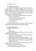 Referāts 'Darba samaksa (atalgojums) kā viens no darbinieka motivēšanas līdzekļiem', 19.