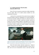 Diplomdarbs 'La réalité virtuelle au cinéma: La confusion entre la réalité et la simulation', 28.