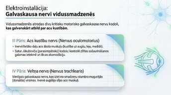 Prezentācija 'Smadzeņu stumbrs un vidussmadzeņu dziļā analīze', 12.