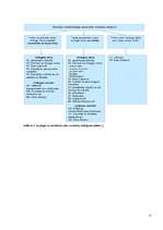 Referāts 'Jauniešu viedoklis par dopingu sportā', 17.