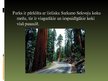 Prezentācija 'Redvudas Nacionālais parks', 6.