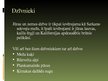 Prezentācija 'Redvudas Nacionālais parks', 7.