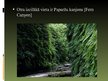 Prezentācija 'Redvudas Nacionālais parks', 13.