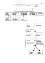 Prakses atskaite 'Sociālais darbs Ilzeskalna pagastā', 8.