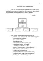 Prakses atskaite 'Sociālais darbs Ilzeskalna pagastā', 17.