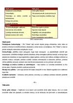 Prakses atskaite 'Prakses atskaite uzņēmumā SIA "Voteks"', 12.