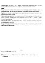 Prakses atskaite 'Prakses atskaite uzņēmumā SIA "Voteks"', 14.