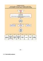 Prakses atskaite 'Prakses atskaite uzņēmumā SIA "Voteks"', 17.