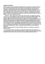 Prakses atskaite 'Prakses atskaite uzņēmumā SIA "Voteks"', 19.