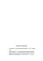 Referāts 'K.Ulmaņa tautsaimnieciskie uzskati', 9.