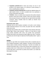 Konspekts 'Starptautisko publisko tiesību definīcija, subjekti un objekti', 3.