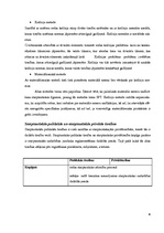 Konspekts 'Starptautisko publisko tiesību definīcija, subjekti un objekti', 6.