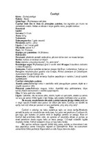 Referāts 'Kauķi', 13.