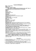 Referāts 'Kauķi', 16.