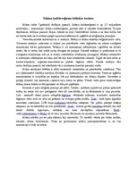 Eseja 'Islāma kultūrreģiona būtiskās iezīmes', 1.