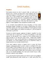 Referāts 'Dredi', 7.