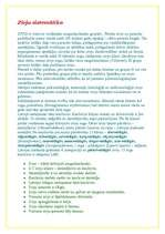 Referāts 'Zivju sistemātika', 1.