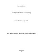 Referāts 'Energy Drinks Are not Healthy', 2.