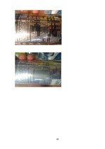 Referāts 'Energy Drinks Are not Healthy', 20.