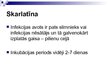 Prezentācija 'Skarlatīna. Vējbakas', 3.