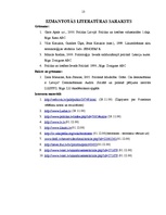 Referāts 'Nekonvencionālās politiskās līdzdalības attīstība mūsdienu Latvijā', 13.