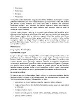 Konspekts 'Migrēna', 6.