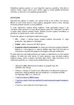 Konspekts 'Migrēna', 8.