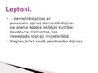 Prezentācija 'Fundamentālās mijiedarbības. Fundamentālās daļiņas. Kvarki un leptoni. Neitrīno ', 15.
