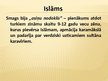 Prezentācija 'Turku iebrukums Eiropā un Bizantijas impērijas bojāeja', 6.