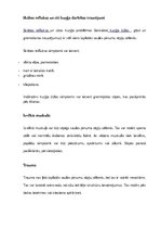 Konspekts 'Saules pinums un kjejotājnervs', 8.