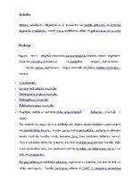 Konspekts 'Saules pinums un kjejotājnervs', 14.