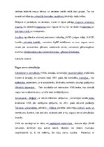 Konspekts 'Saules pinums un kjejotājnervs', 17.