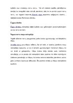 Konspekts 'Saules pinums un kjejotājnervs', 19.