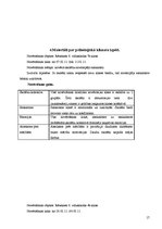 Prakses atskaite 'Sociālā pedagoga prakses atskaite', 17.