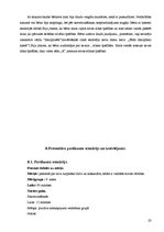 Prakses atskaite 'Sociālā pedagoga prakses atskaite', 28.