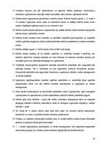 Prakses atskaite 'Sociālā pedagoga prakses atskaite', 39.